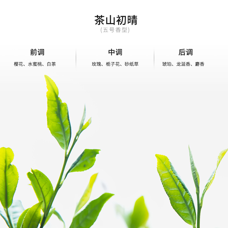 风云T11 香氛瓶 图片 5